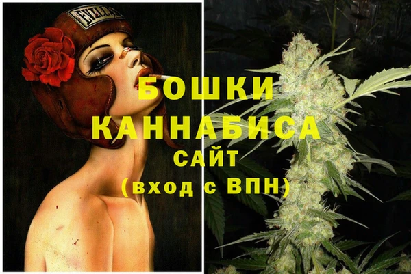 гидра Алексеевка