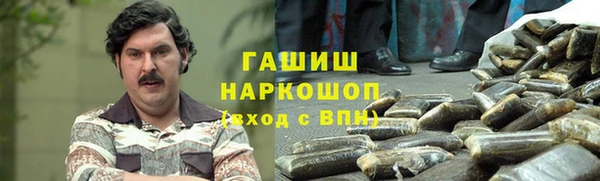 гидра Алексеевка