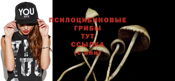 прущие крисы Алексин